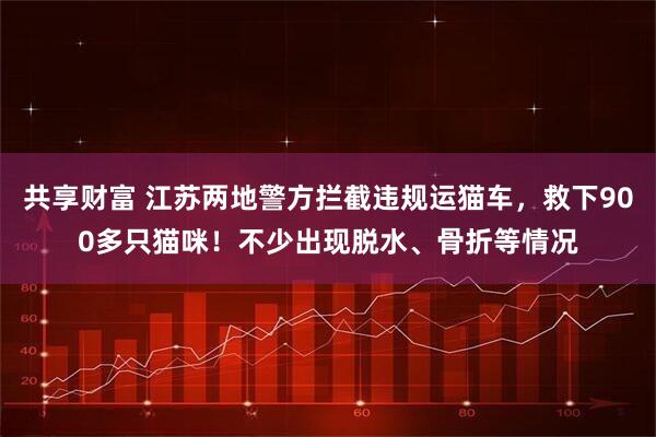 共享财富 江苏两地警方拦截违规运猫车，救下900多只猫咪！不少出现脱水、骨折等情况