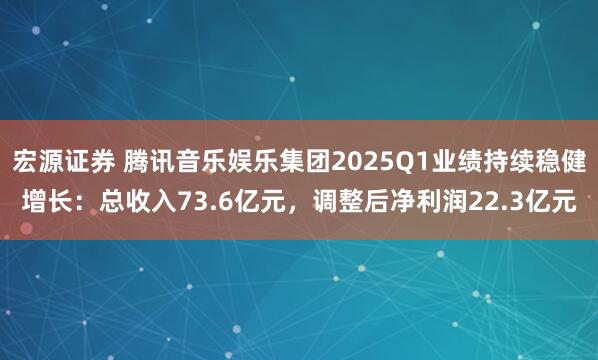 宏源证券 腾讯音乐娱乐集团2025Q1业绩持续稳健增长：总收入73.6亿元，调整后净利润22.3亿元